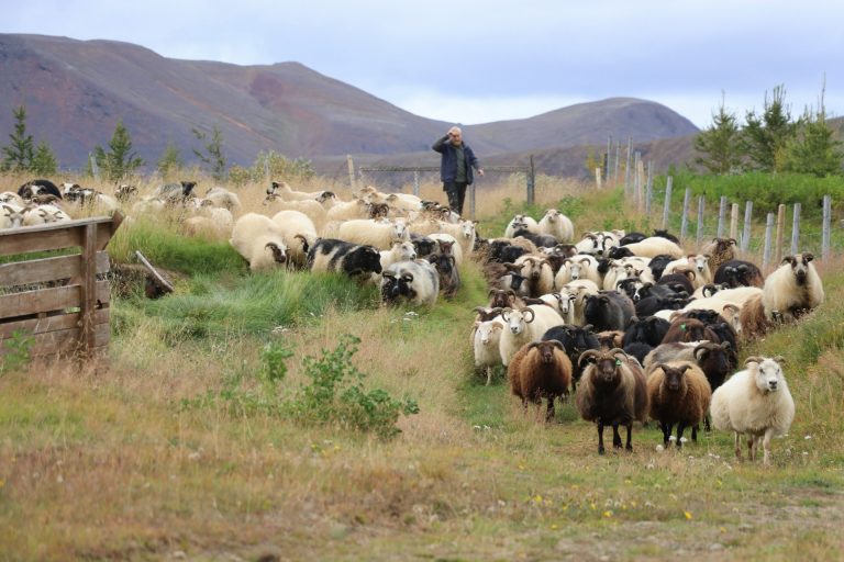 20210908135029_IMG_1313